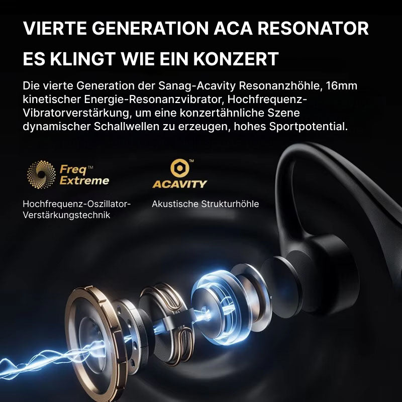 Audvex