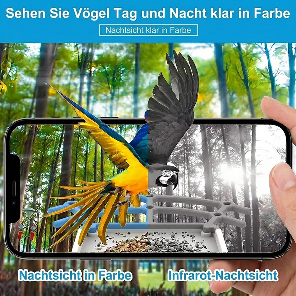 NestoLenzi