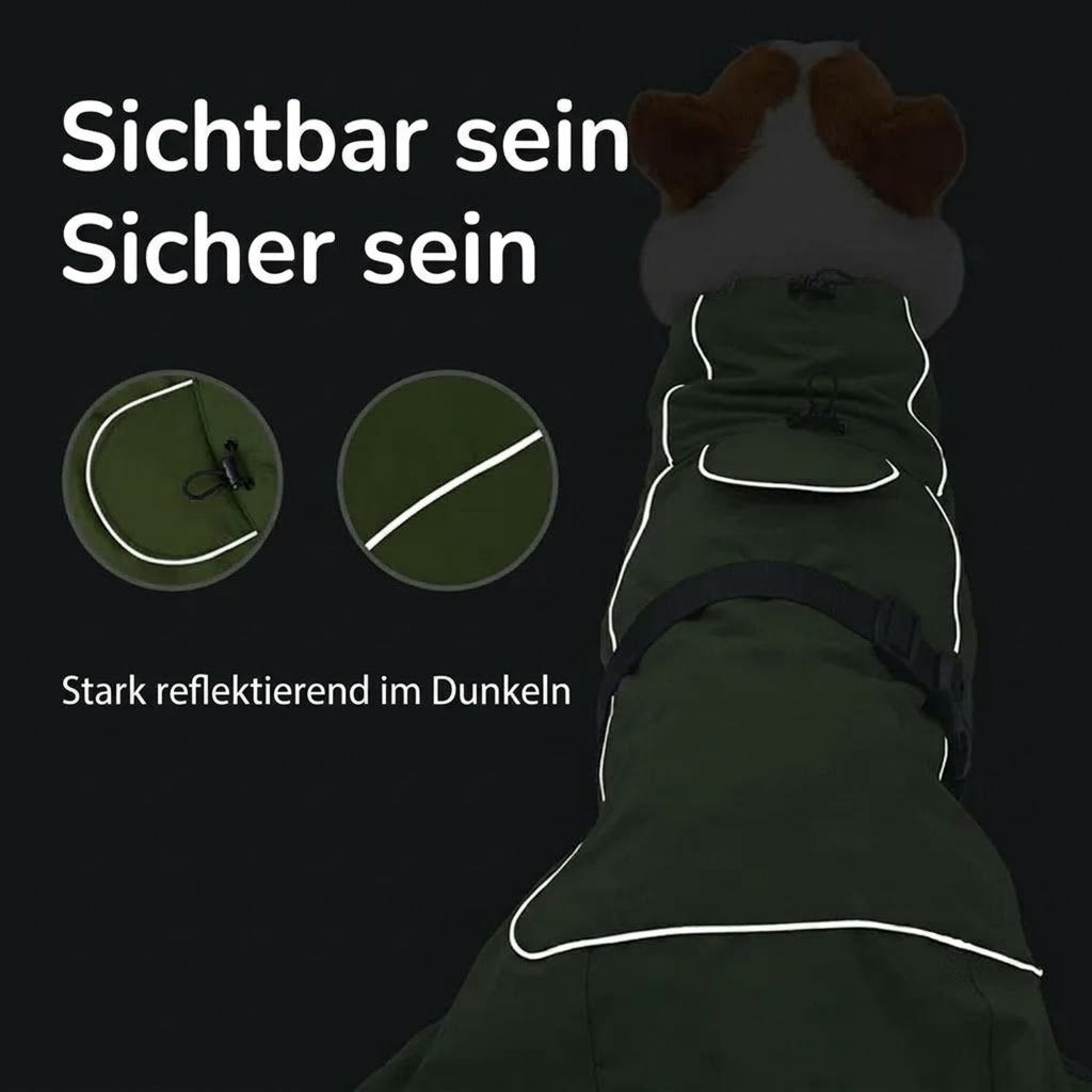 AnoRark