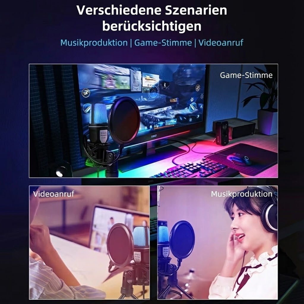 AudiVoxe