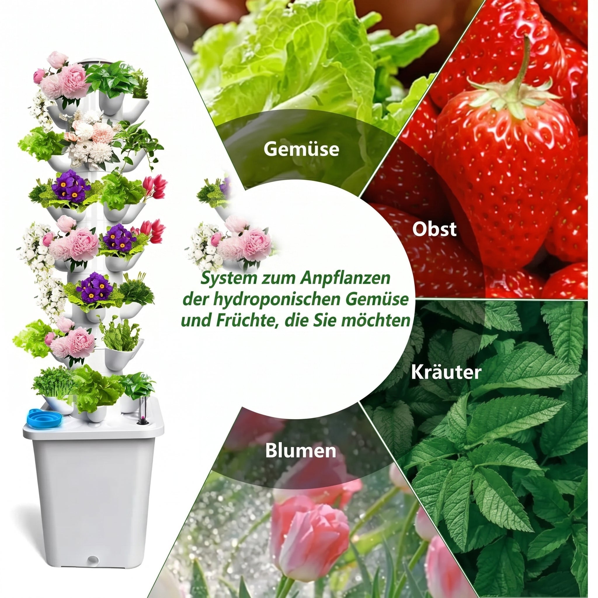 BloomStaki