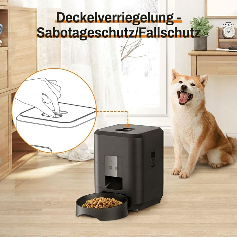 ChowiPaw