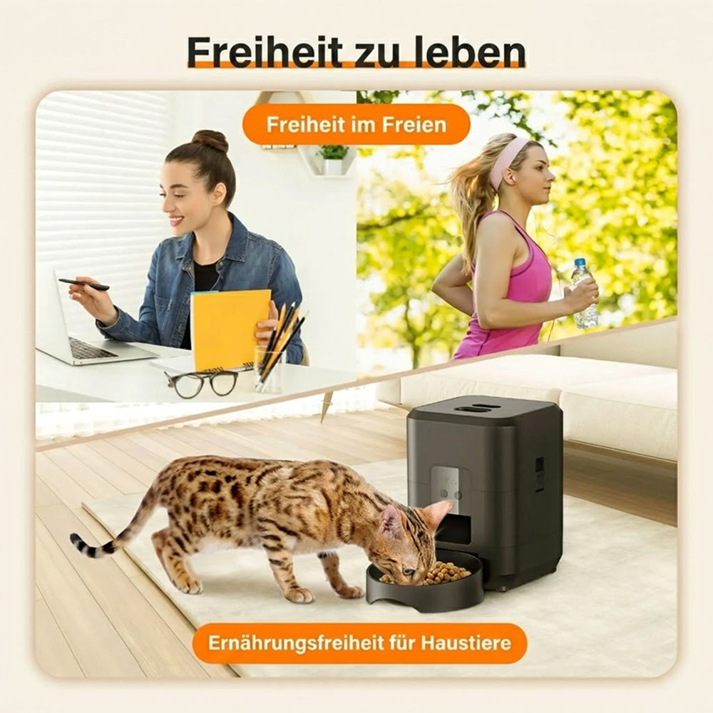 ChowiPaw
