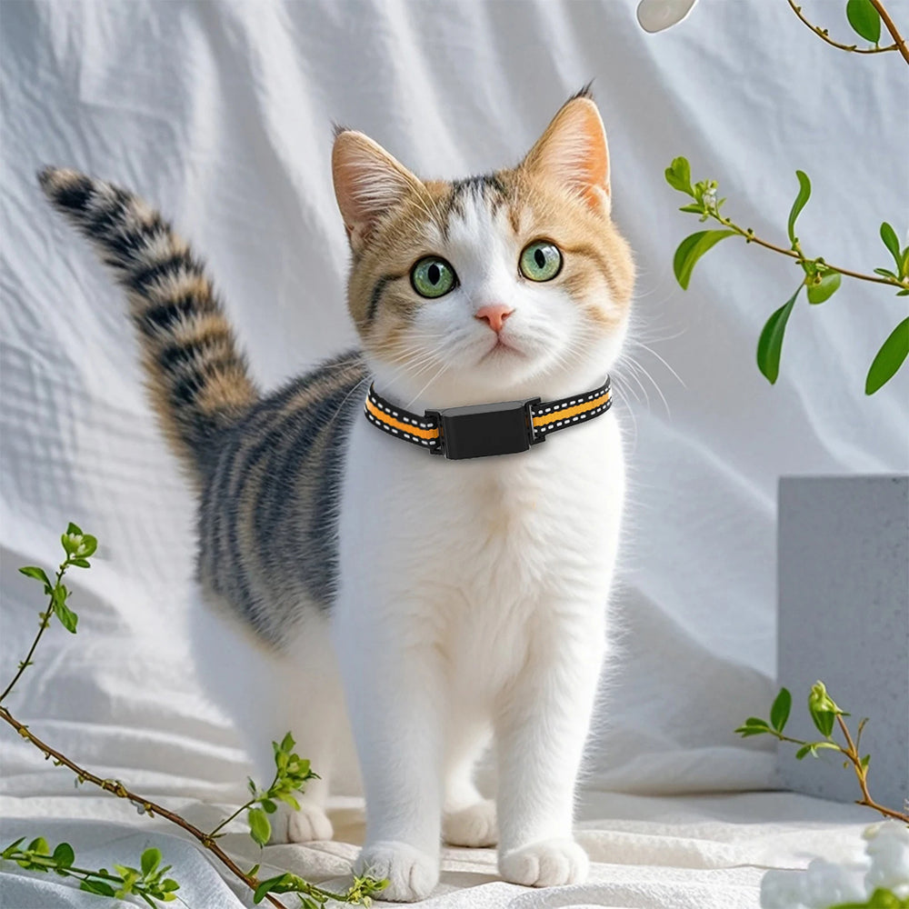 PawiTrack