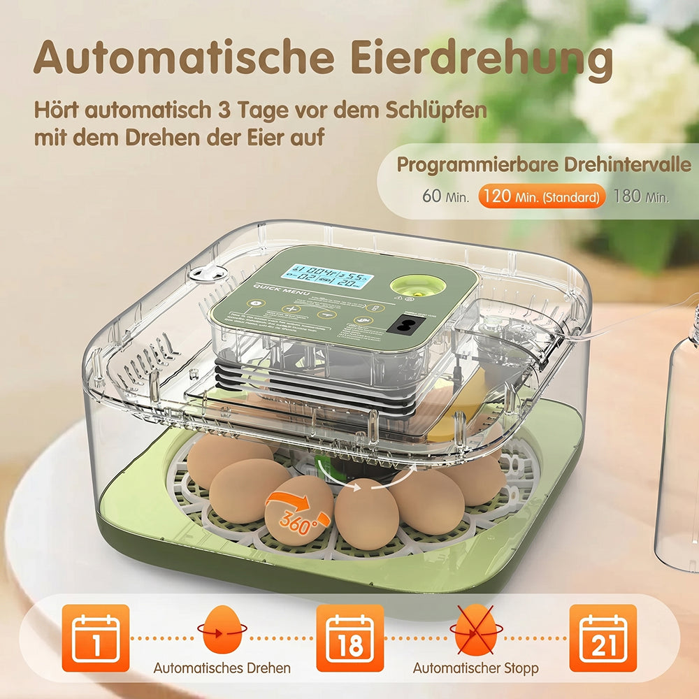 EggOriva