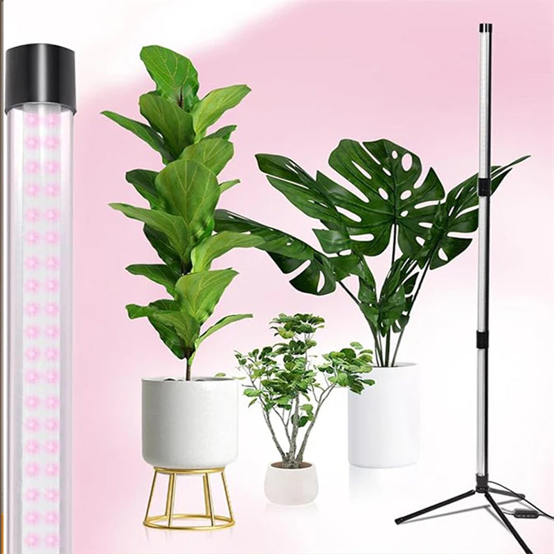 FloraFluxi