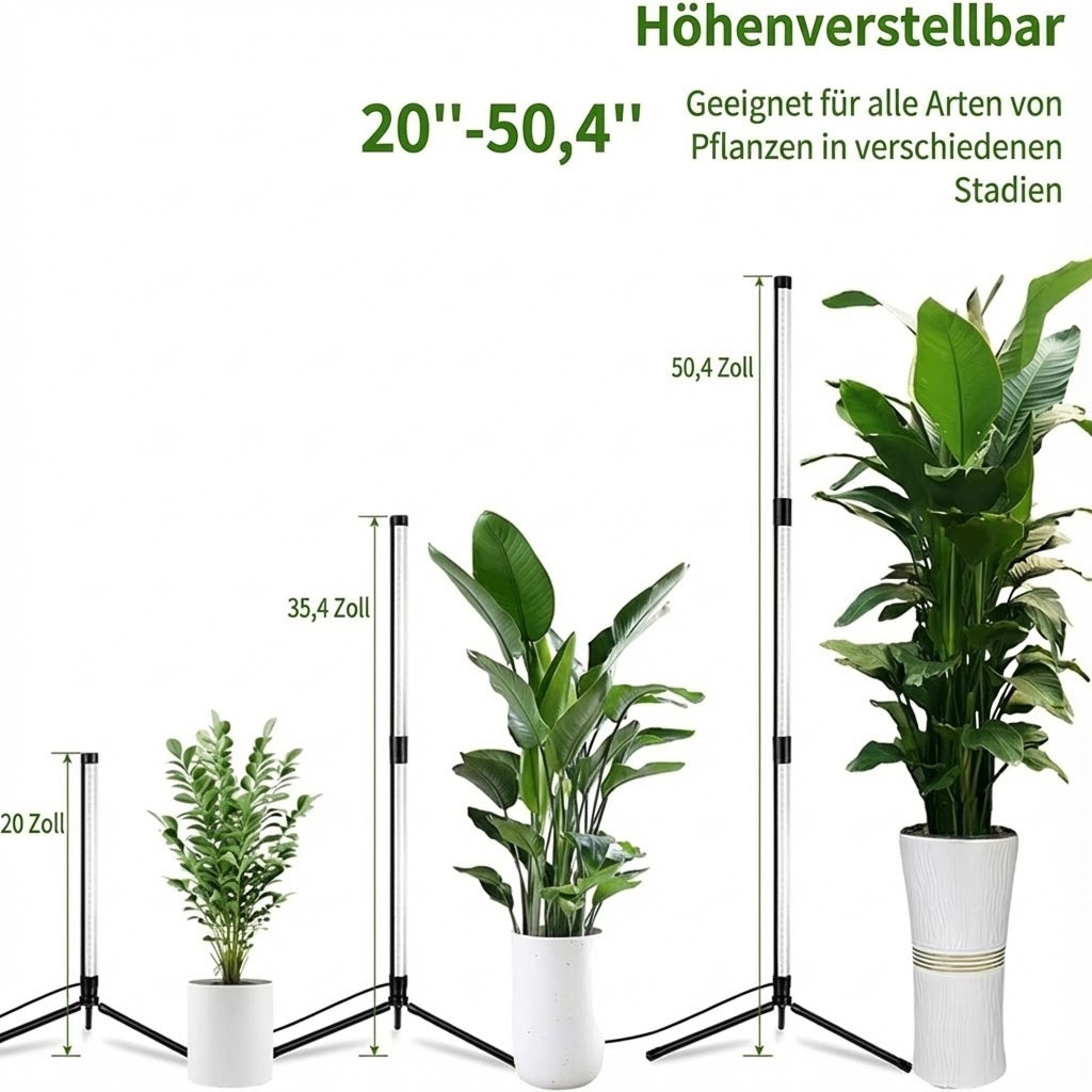 FloraFluxi