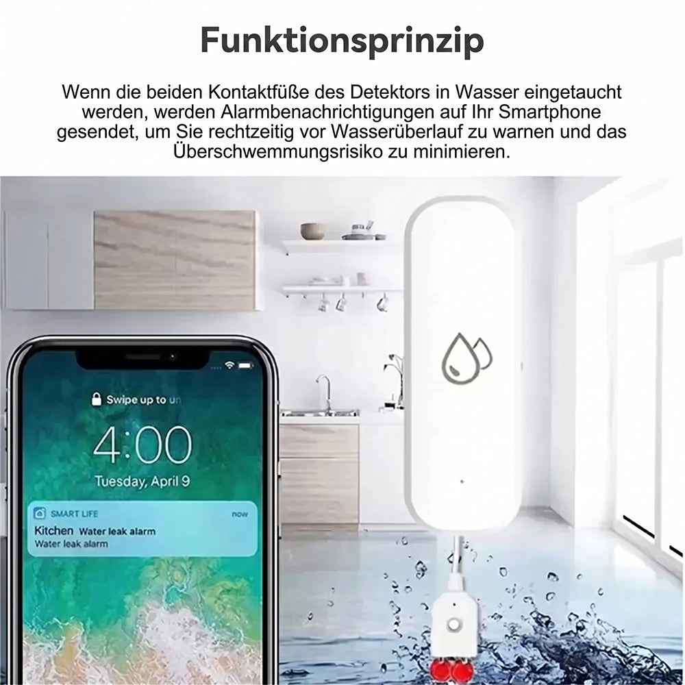 FlowSentri