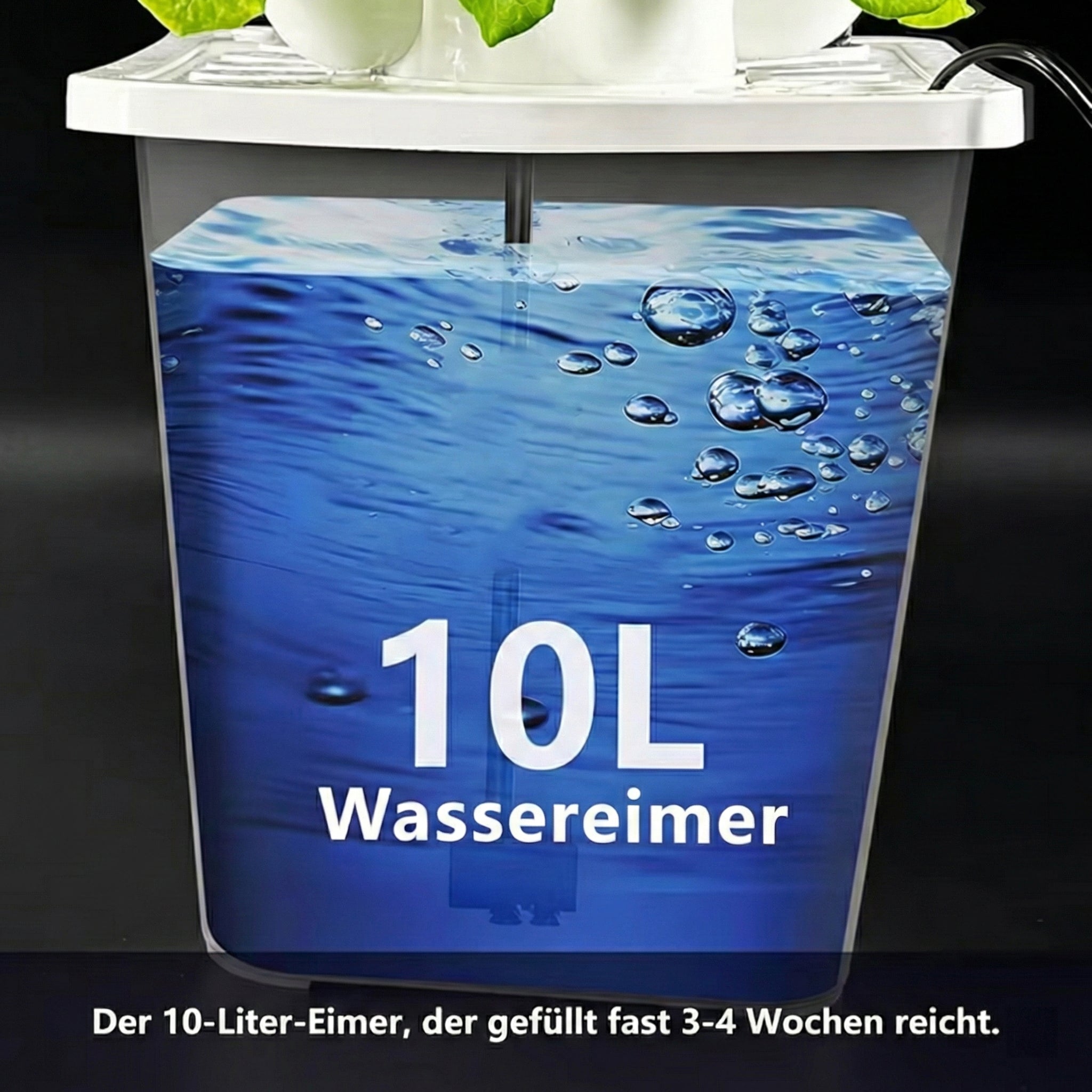 HydroLofto