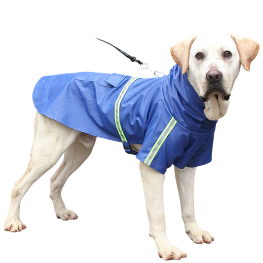 PawieVeil