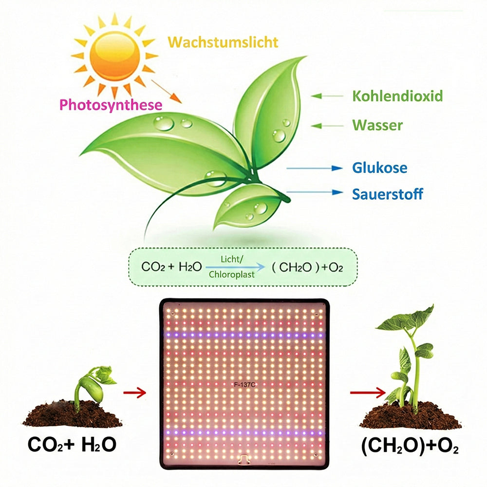PlantLume