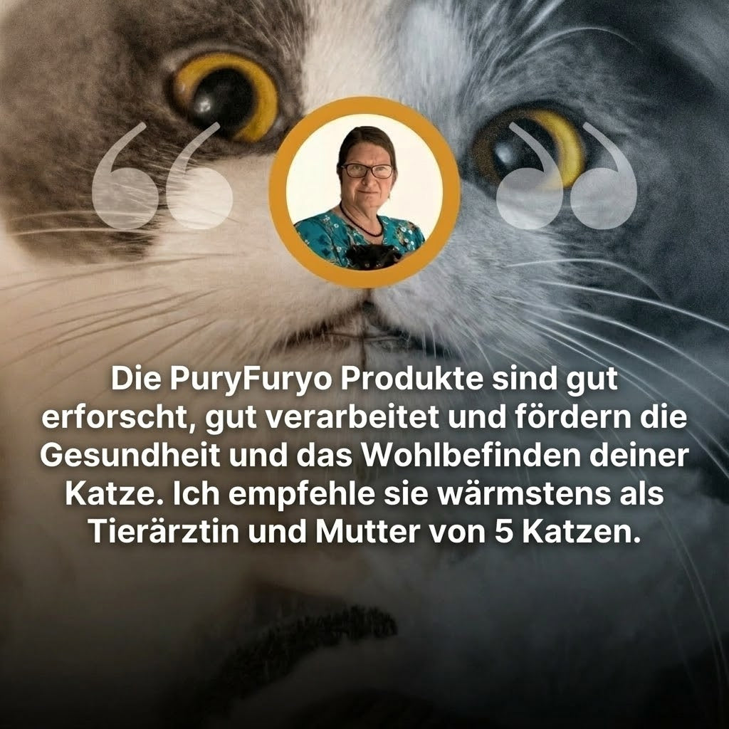 PuryFuryo