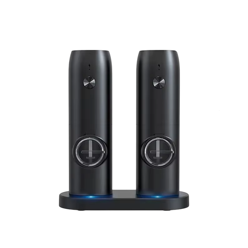 SalteSonic