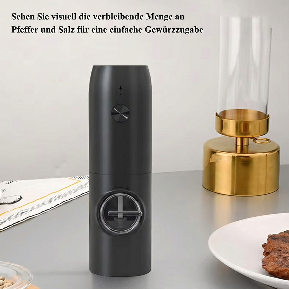 SalteSonic
