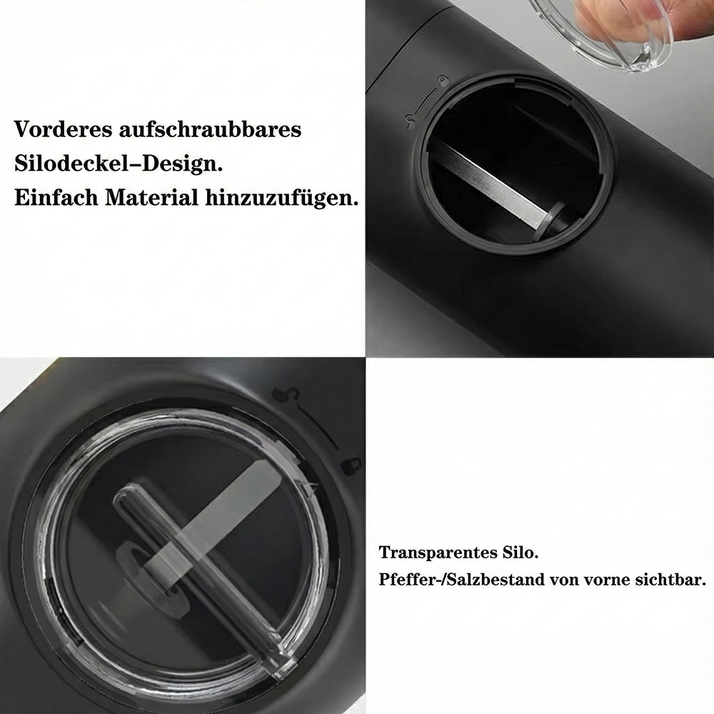SalteSonic