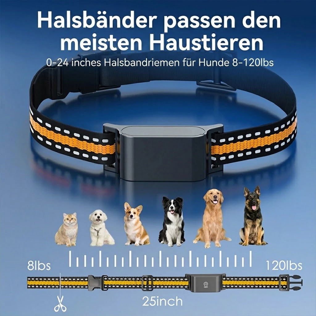WagiPoint
