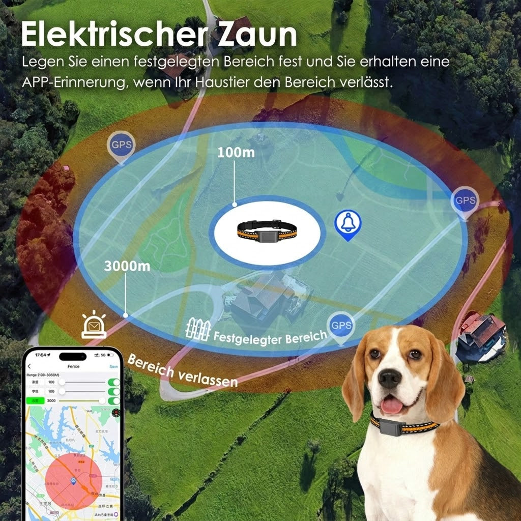 WagiPoint